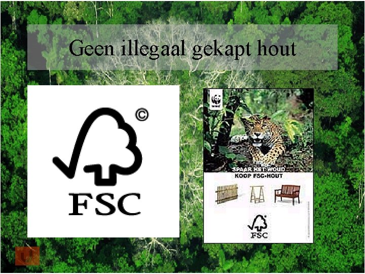 Geen illegaal gekapt hout 