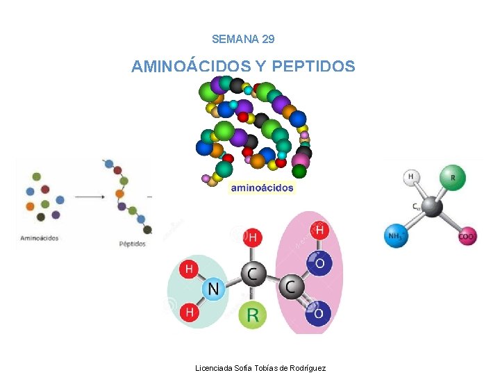 SEMANA 29 AMINOÁCIDOS Y PEPTIDOS Licenciada Sofía Tobías de Rodríguez 