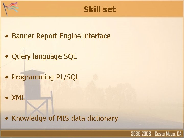 Skill set • Banner Report Engine interface • Query language SQL • Programming PL/SQL Skill set • Banner Report Engine interface • Query language SQL • Programming PL/SQL