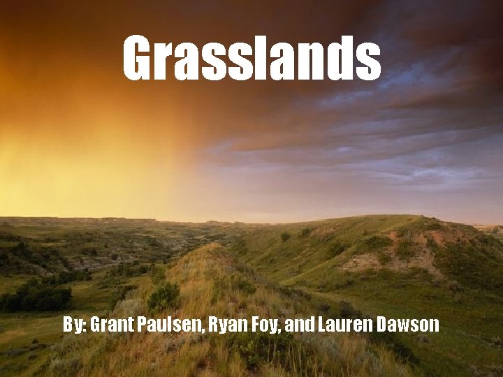 Grasslands By: Grant Paulsen, Ryan Foy, and Lauren Dawson 