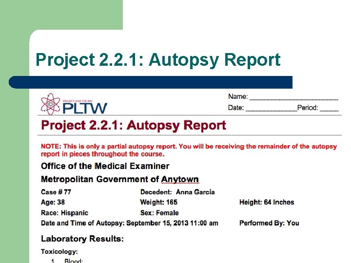 Project 2. 2. 1: Autopsy Report 
