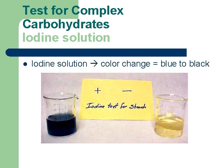 Test for Complex Carbohydrates Iodine solution l Iodine solution color change = blue to
