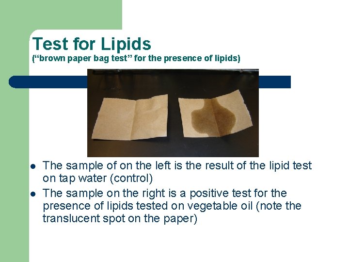 Test for Lipids (“brown paper bag test” for the presence of lipids) l l
