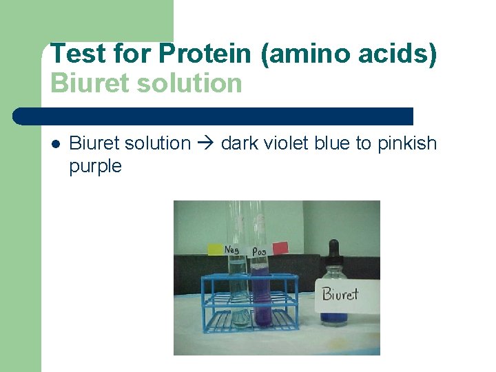 Test for Protein (amino acids) Biuret solution l Biuret solution dark violet blue to