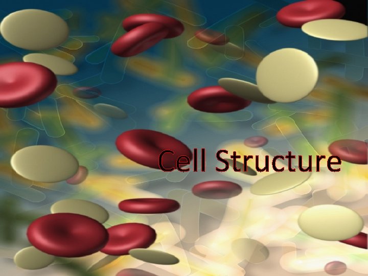 Cell Structure 