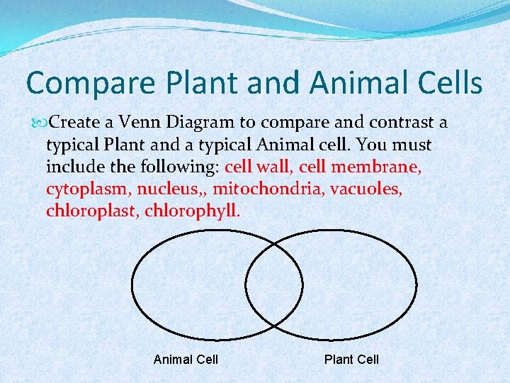 Compare Plant and Animal Cells Create a Venn Diagram to compare and contrast a