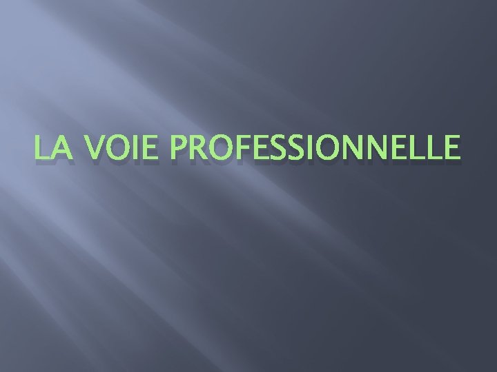 LA VOIE PROFESSIONNELLE 