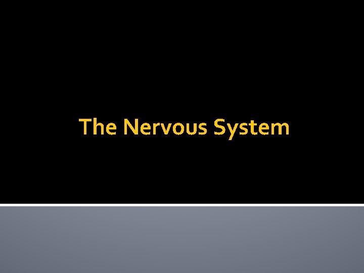 The Nervous System 