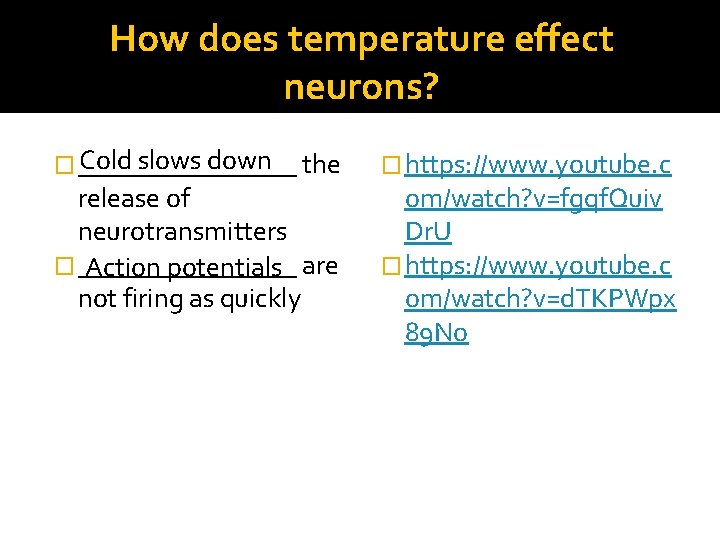 How does temperature effect neurons? Cold slows down the � ________ release of neurotransmitters