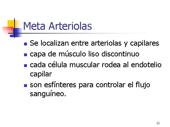 Meta Arteriolas n n Se localizan entre arteriolas y capilares capa de músculo liso Meta Arteriolas n n Se localizan entre arteriolas y capilares capa de músculo liso