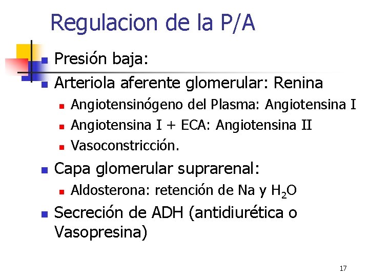 Regulacion de la P/A n n Presión baja: Arteriola aferente glomerular: Renina n n Regulacion de la P/A n n Presión baja: Arteriola aferente glomerular: Renina n n