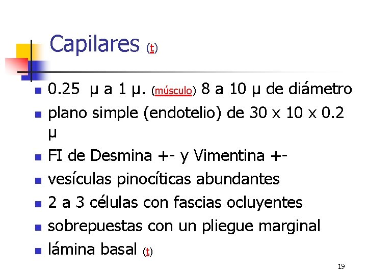 Capilares n n n n (t) 0. 25 µ a 1 µ. (músculo) 8 Capilares n n n n (t) 0. 25 µ a 1 µ. (músculo) 8