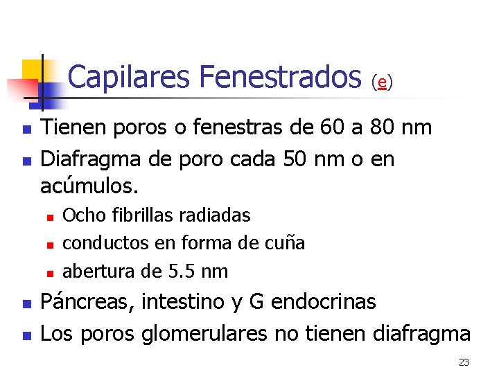 Capilares Fenestrados n n Tienen poros o fenestras de 60 a 80 nm Diafragma Capilares Fenestrados n n Tienen poros o fenestras de 60 a 80 nm Diafragma