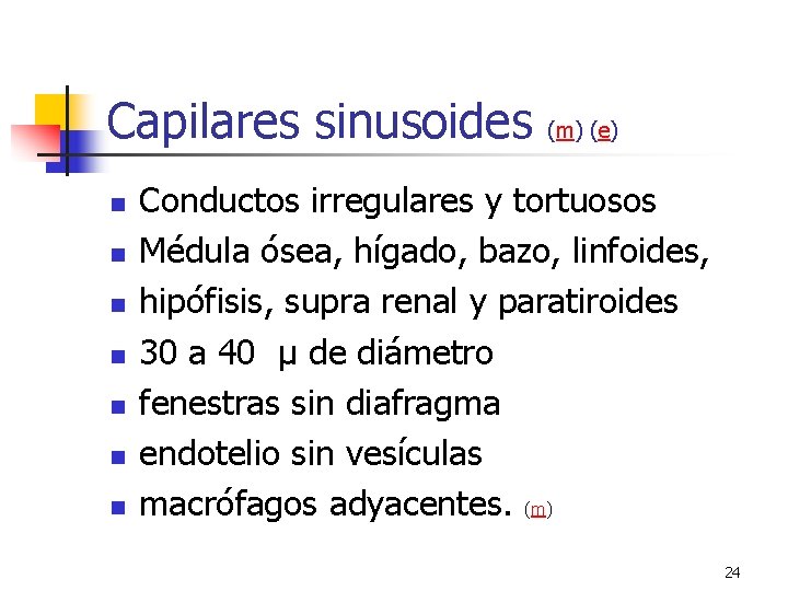 Capilares sinusoides n n n n (m) (e) Conductos irregulares y tortuosos Médula ósea, Capilares sinusoides n n n n (m) (e) Conductos irregulares y tortuosos Médula ósea,