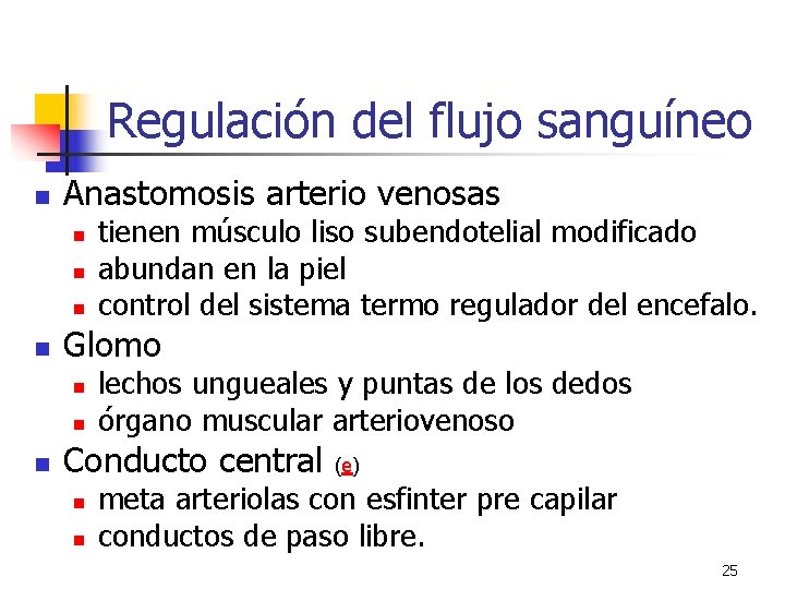 Regulación del flujo sanguíneo n Anastomosis arterio venosas n n Glomo n n n Regulación del flujo sanguíneo n Anastomosis arterio venosas n n Glomo n n n