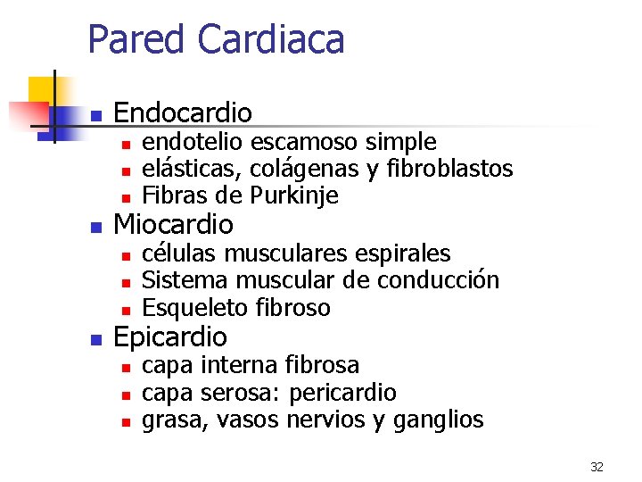 Pared Cardiaca n Endocardio n n Miocardio n n endotelio escamoso simple elásticas, colágenas Pared Cardiaca n Endocardio n n Miocardio n n endotelio escamoso simple elásticas, colágenas