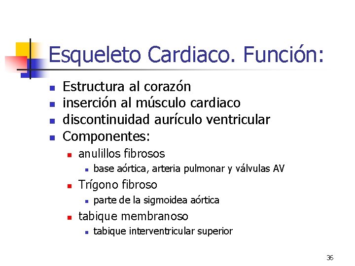 Esqueleto Cardiaco. Función: n n Estructura al corazón inserción al músculo cardiaco discontinuidad aurículo Esqueleto Cardiaco. Función: n n Estructura al corazón inserción al músculo cardiaco discontinuidad aurículo
