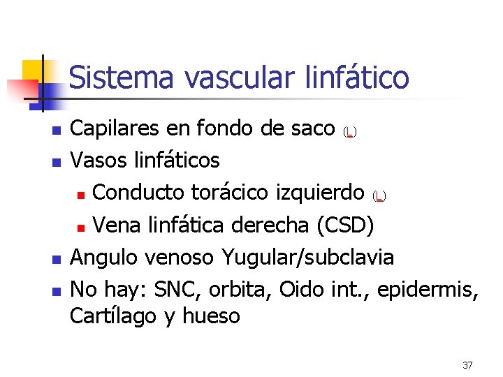 Sistema vascular linfático n n Capilares en fondo de saco (L) Vasos linfáticos n Sistema vascular linfático n n Capilares en fondo de saco (L) Vasos linfáticos n