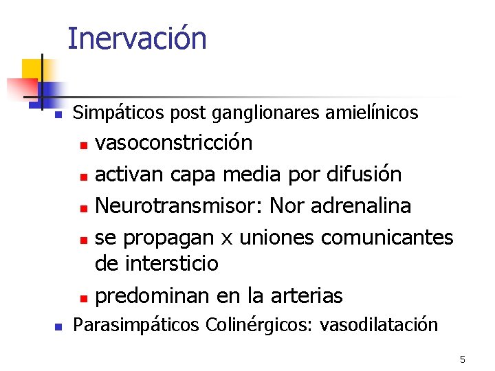 Inervación n Simpáticos post ganglionares amielínicos vasoconstricción n activan capa media por difusión n Inervación n Simpáticos post ganglionares amielínicos vasoconstricción n activan capa media por difusión n