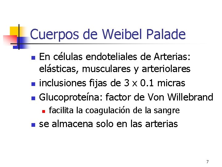 Cuerpos de Weibel Palade n n n En células endoteliales de Arterias: elásticas, musculares Cuerpos de Weibel Palade n n n En células endoteliales de Arterias: elásticas, musculares