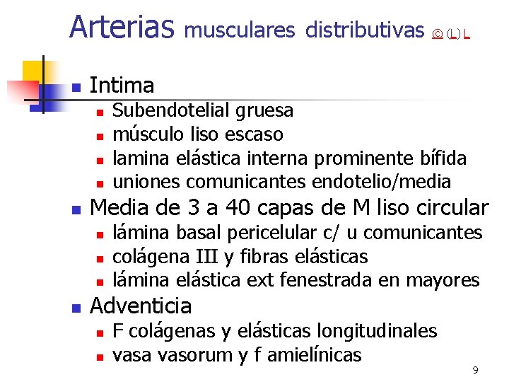Arterias n n Subendotelial gruesa músculo liso escaso lamina elástica interna prominente bífida uniones Arterias n n Subendotelial gruesa músculo liso escaso lamina elástica interna prominente bífida uniones