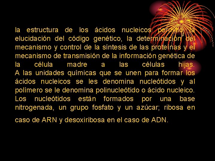 la estructura de los ácidos nucleicos permitió la elucidación del código genético, la determinación