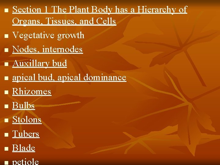 n n n Section 1 The Plant Body has a Hierarchy of Organs, Tissues,