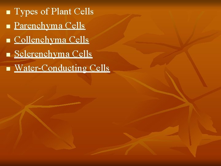 n n n Types of Plant Cells Parenchyma Cells Collenchyma Cells Sclerenchyma Cells Water-Conducting