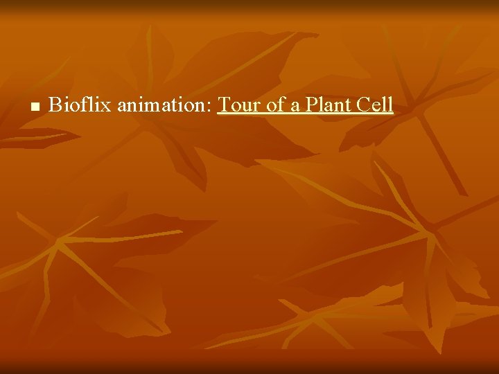 n Bioflix animation: Tour of a Plant Cell 