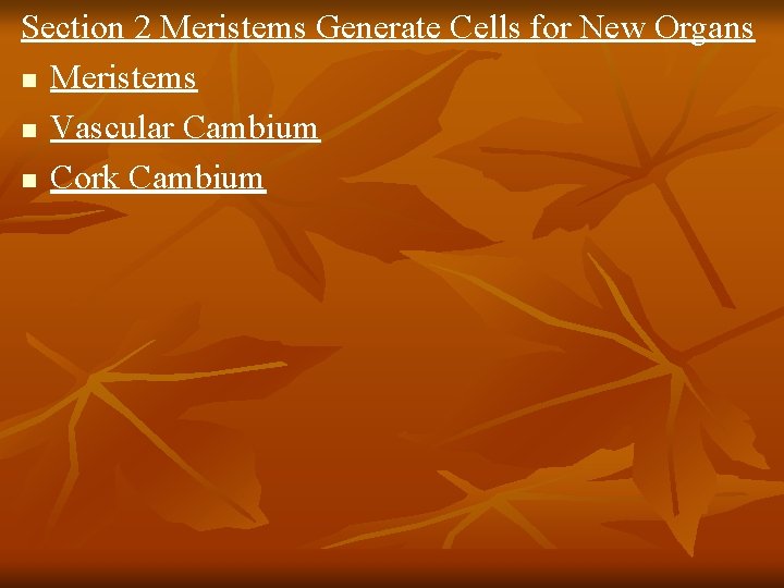 Section 2 Meristems Generate Cells for New Organs n Meristems n Vascular Cambium n