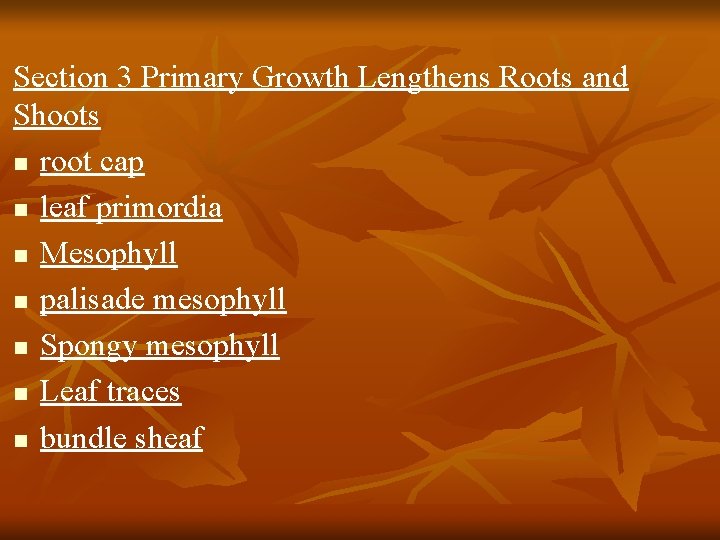 Section 3 Primary Growth Lengthens Roots and Shoots n root cap n leaf primordia