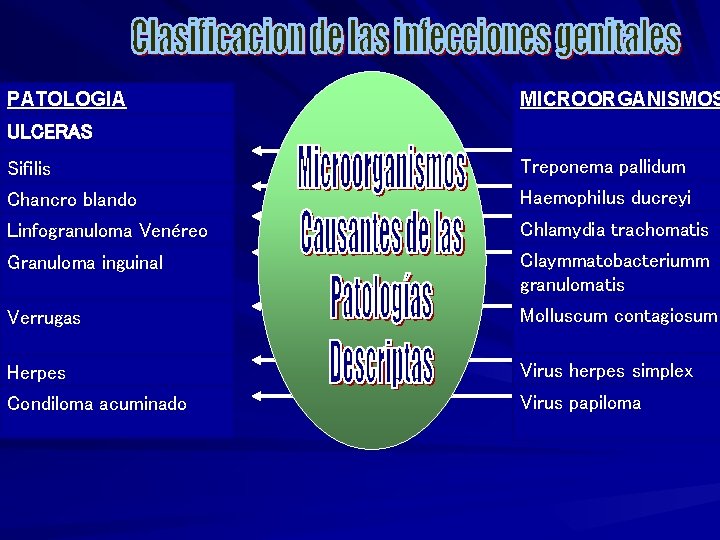 PATOLOGIA MICROORGANISMOS ULCERAS Sifilis Treponema pallidum Chancro blando Haemophilus ducreyi Linfogranuloma Venéreo Chlamydia trachomatis