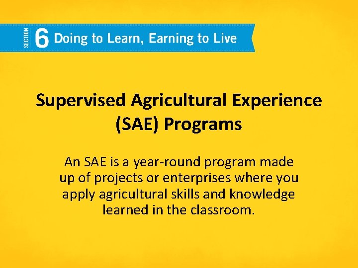 Supervised Agricultural Experience (SAE) Programs An SAE is a year-round program made up of