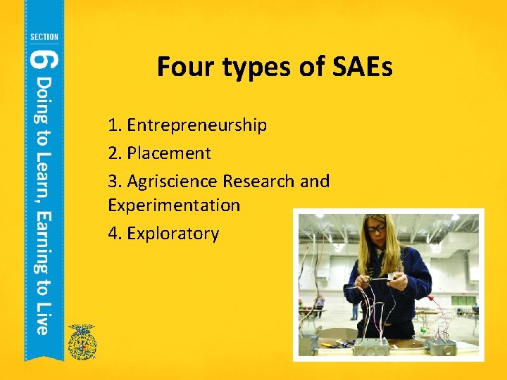 Four types of SAEs 1. Entrepreneurship 2. Placement 3. Agriscience Research and Experimentation 4.