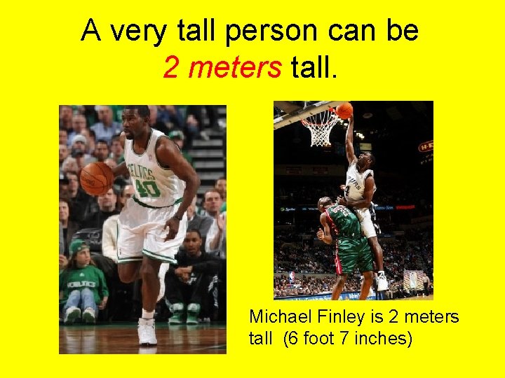 A very tall person can be 2 meters tall. Michael Finley is 2 meters
