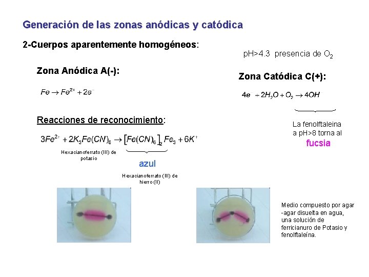 Generación de las zonas anódicas y catódica 2 -Cuerpos aparentemente homogéneos: Zona Anódica A(-):