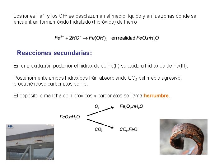 Los iones Fe 2+ y los OH- se desplazan en el medio líquido y