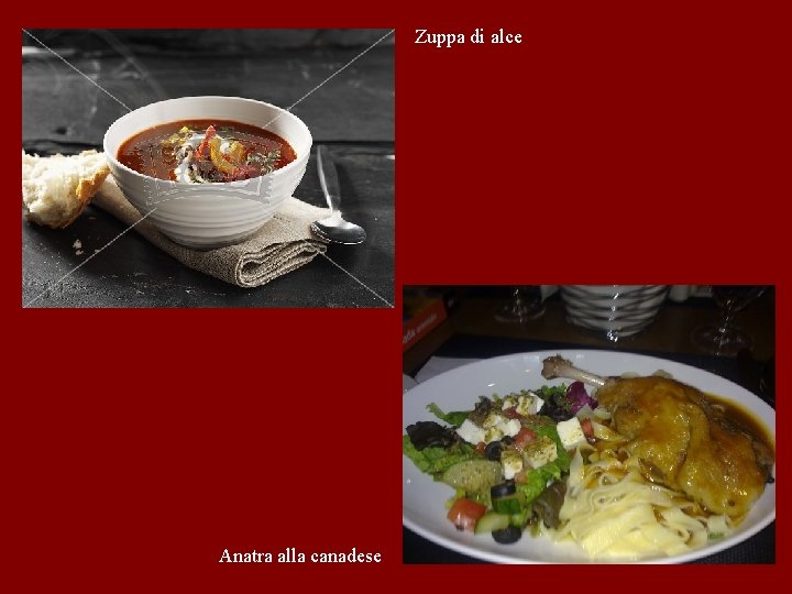 Zuppa di alce Anatra alla canadese 