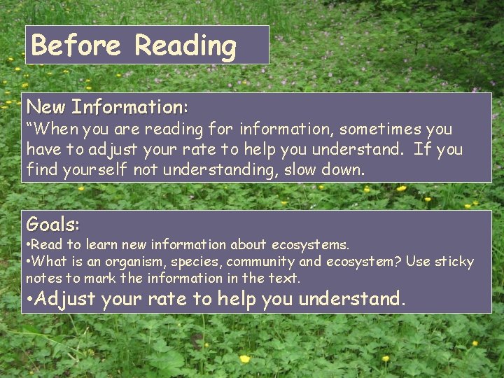 Before Reading New Information: “When you are reading for information, sometimes you have to Before Reading New Information: “When you are reading for information, sometimes you have to