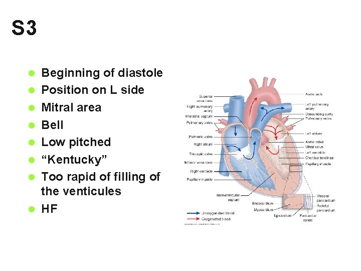 S 3 l l l l Beginning of diastole Position on L side Mitral