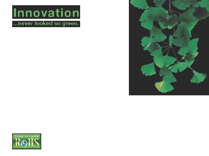 The delicate environmental balance of our planet is a sacred responsibility we all share.