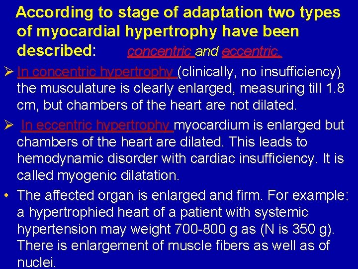 According to stage of adaptation two types of myocardial hypertrophy have been described: concentric