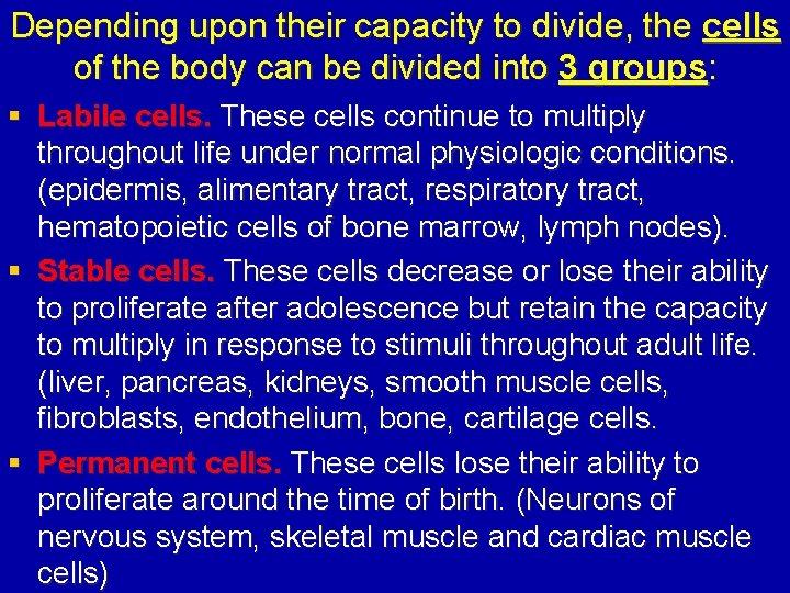 Depending upon their capacity to divide, the cells of the body can be divided