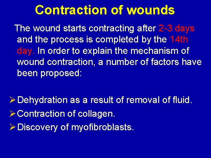 Contraction of wounds The wound starts contracting after 2 -3 days and the process