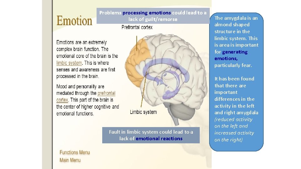Problems processing emotions could lead to a lack of guilt/remorse Fault in limbic system