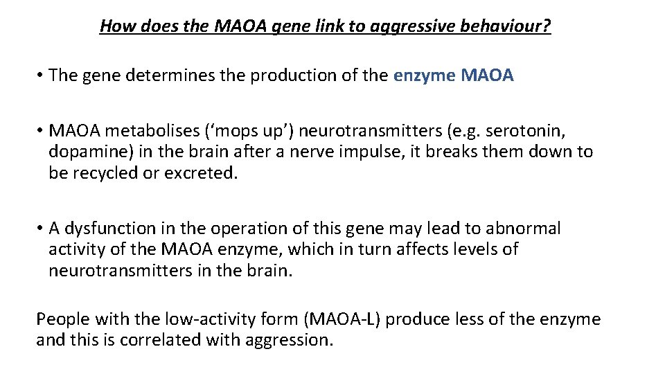 How does the MAOA gene link to aggressive behaviour? • The gene determines the