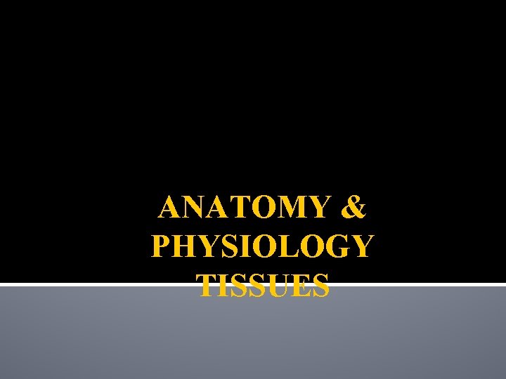 ANATOMY & PHYSIOLOGY TISSUES 