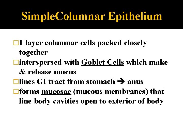 Simple. Columnar Epithelium � 1 layer columnar cells packed closely together �interspersed with Goblet