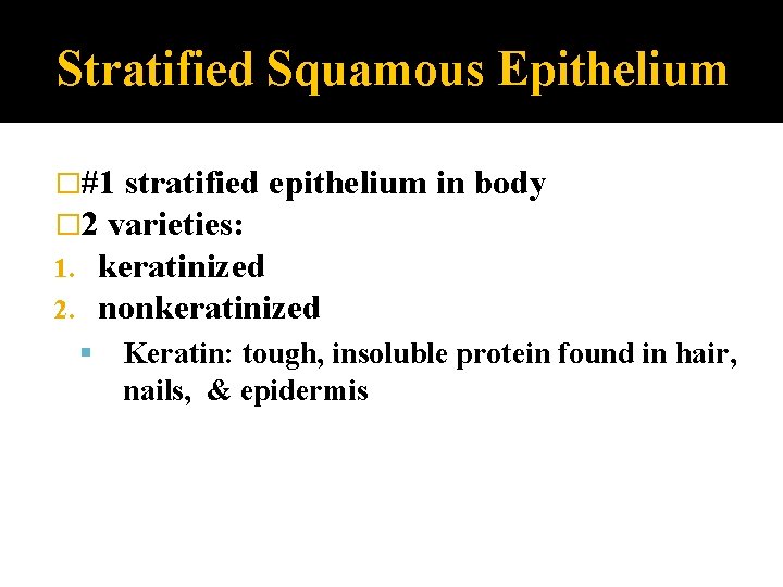 Stratified Squamous Epithelium �#1 stratified epithelium � 2 varieties: 1. keratinized 2. nonkeratinized in