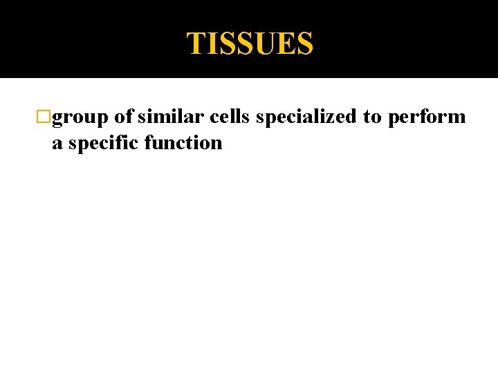 TISSUES �group of similar cells specialized to perform a specific function 